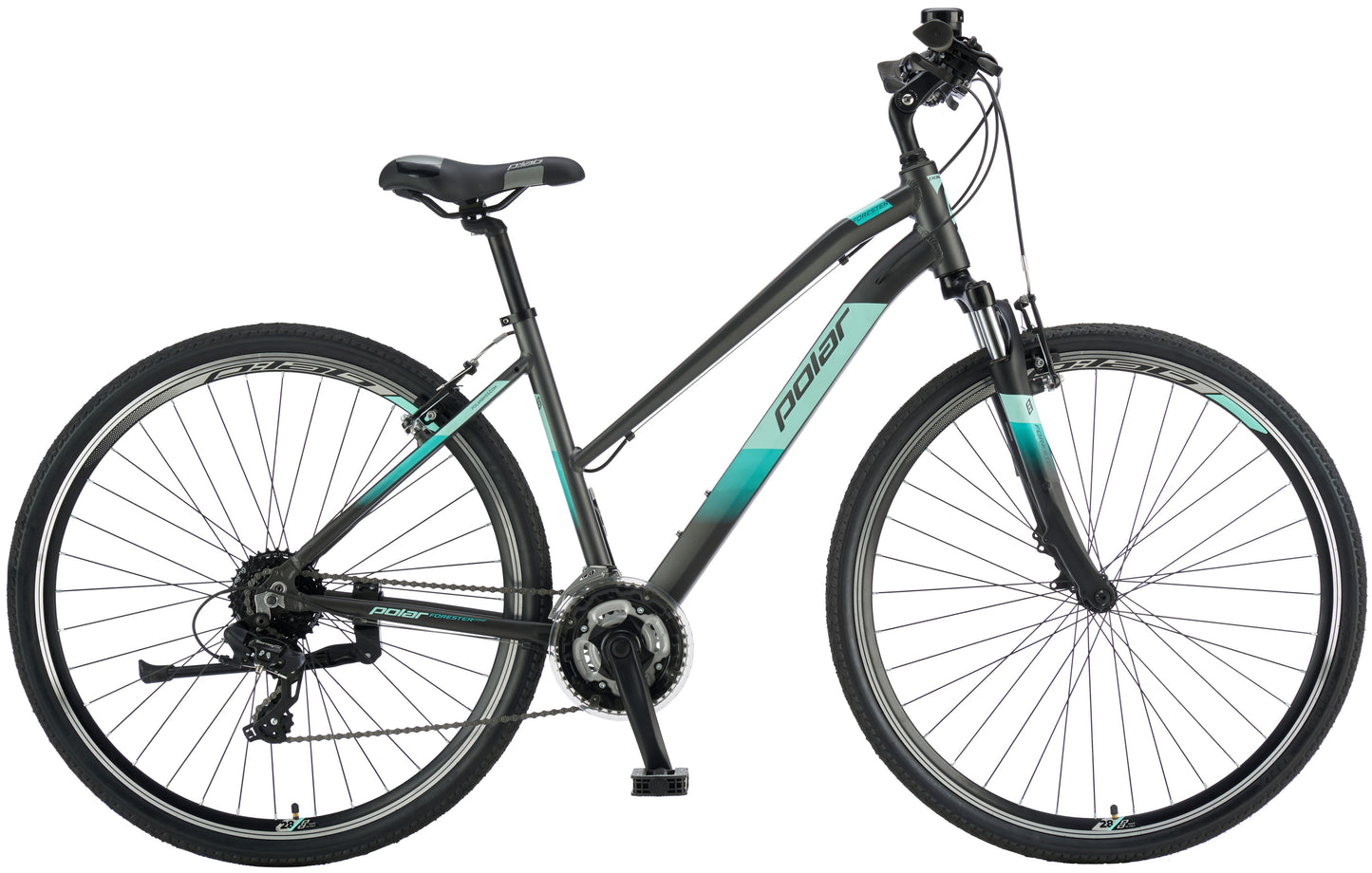 Polar Forester Comp Lady Gray-light blue